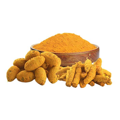 Turmeric Finger Manufacturers in Pune
