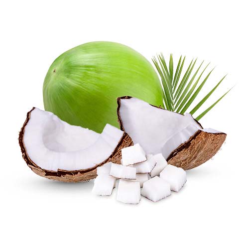 Coconut Manufacturers in Pune